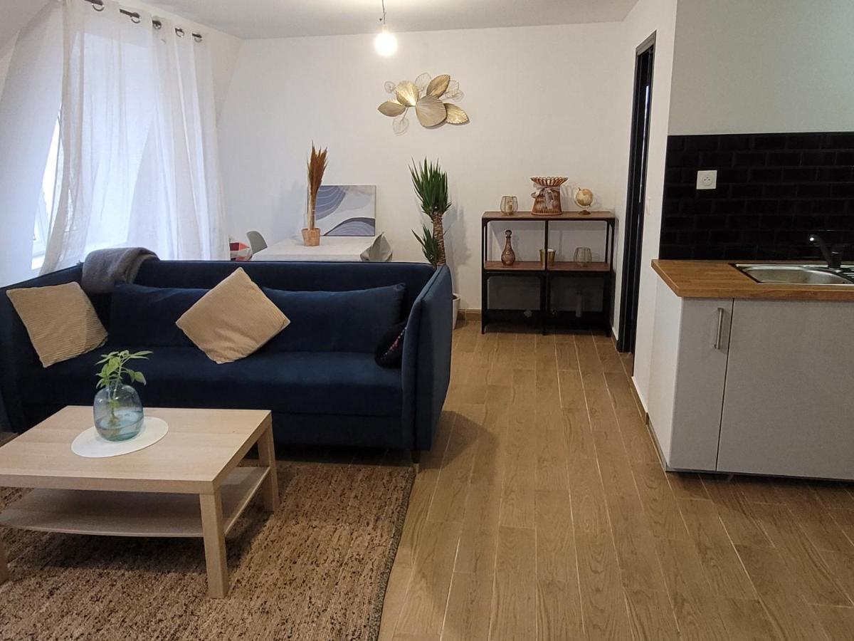 Coquet Appartement A 15Mn De Paris Et 10 Mn De Stade De France, Wifi, Netflix, Groslay 外观 照片